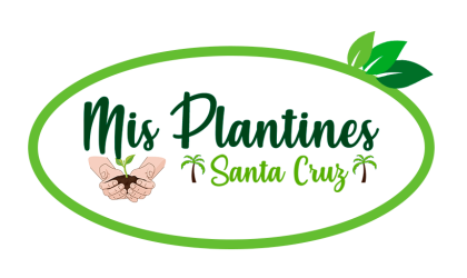 Mis Plantines Santa Cruz